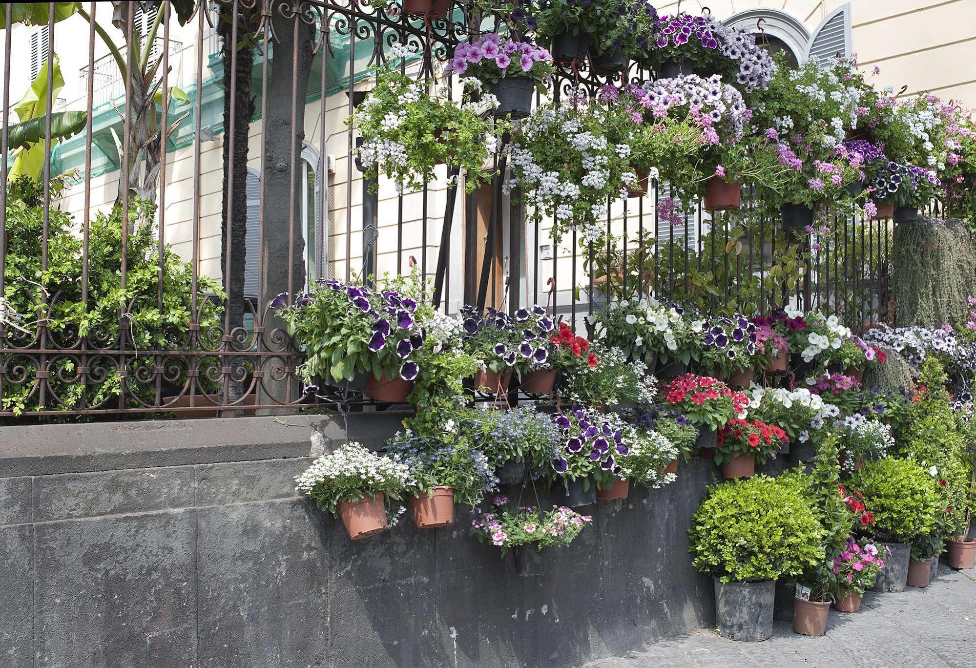 Areamare Bed & Breakfast Napoli Eksteriør bilde